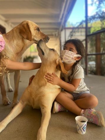 PHOTO COURTESY OF CARLOS MERADI CUÉLLAR: Sage and River, the therapy dogs at Fairfax-San Anselmo Children’s Center.
