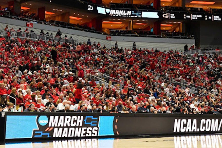 Stands+of+Louisville+vs+Gonzaga+Game+%5BPhoto+Courtesy+Timothy+D.+Easley%2FAssociated+Press%5D%0A