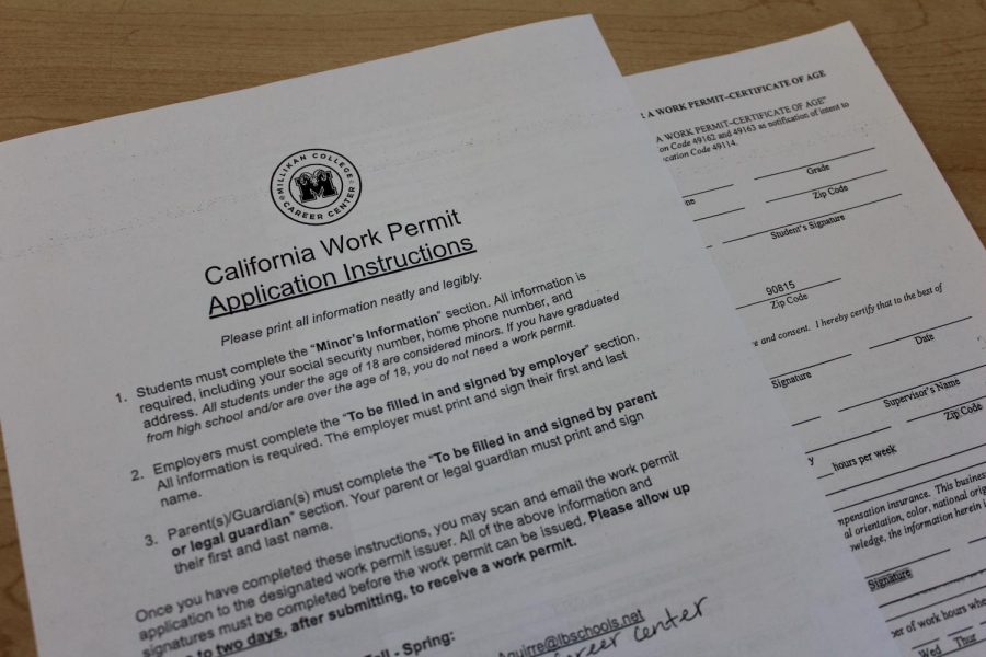 This photo depicts what the work permit looks like.