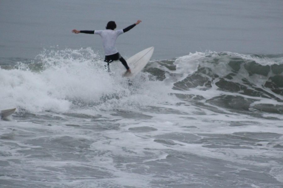 Competitive surfer.