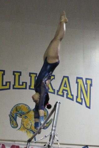 Gymnastics perform on training mats, balance beams, and bars.