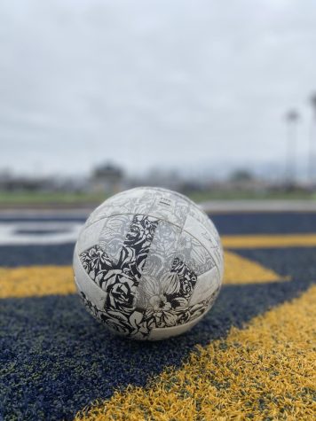 Photo of soccer ball