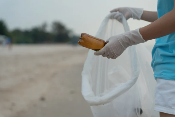 Photo of a beach cleanup, courtesy of Canva.