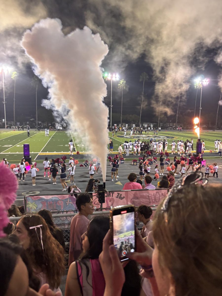 Photo from the student section at the pink-out game on 10/4/24