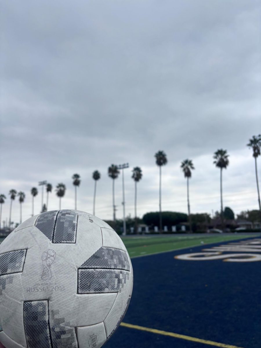 Photo of Soccer ball at Millikan soccer field