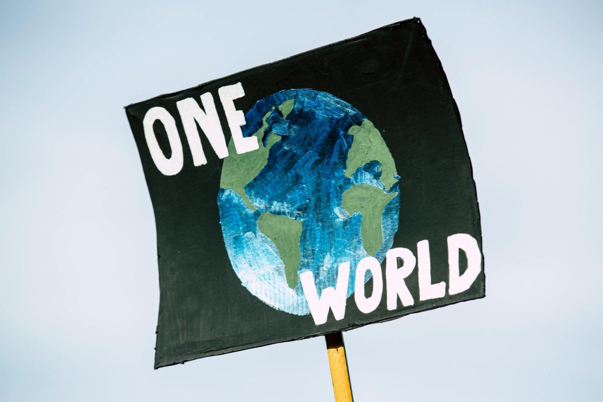 Photo of One World protest sign (courtesy of Pexels)