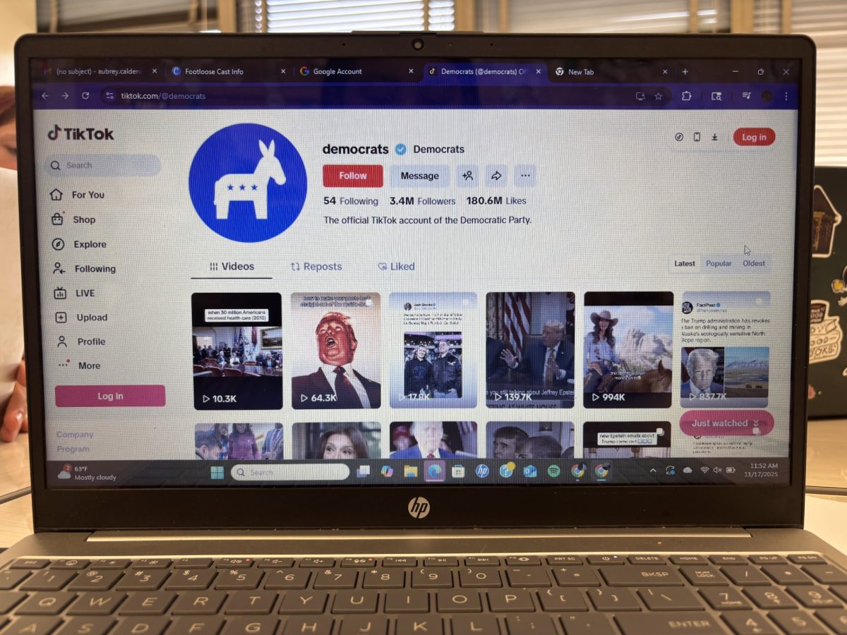 Picture of the official TikTok page of the Democrats