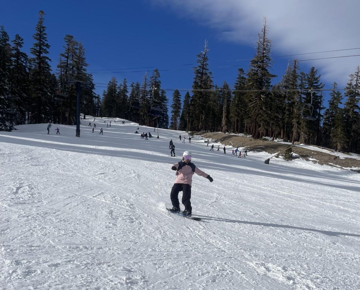 Winter Olympic sport, snowboarding