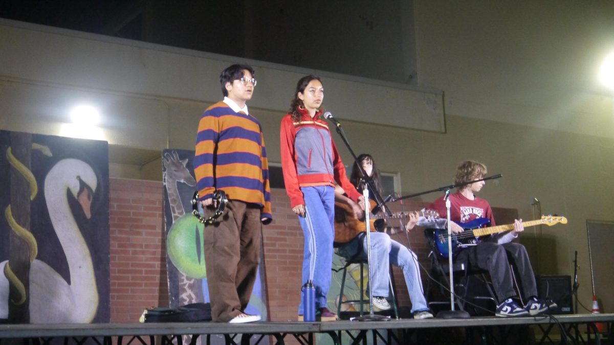Members of Music Club performing at Artfest