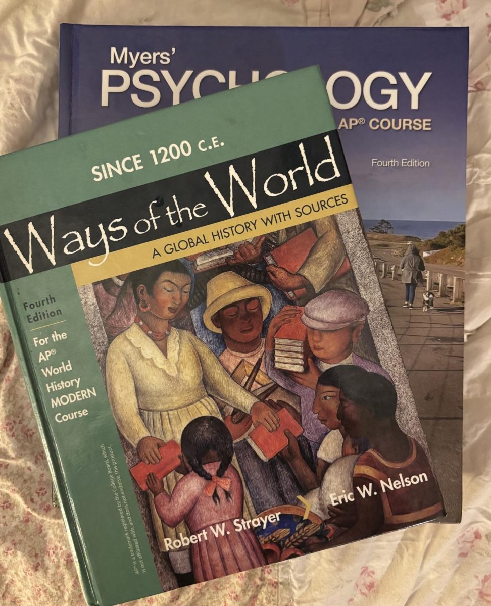 Photo of AP class text books