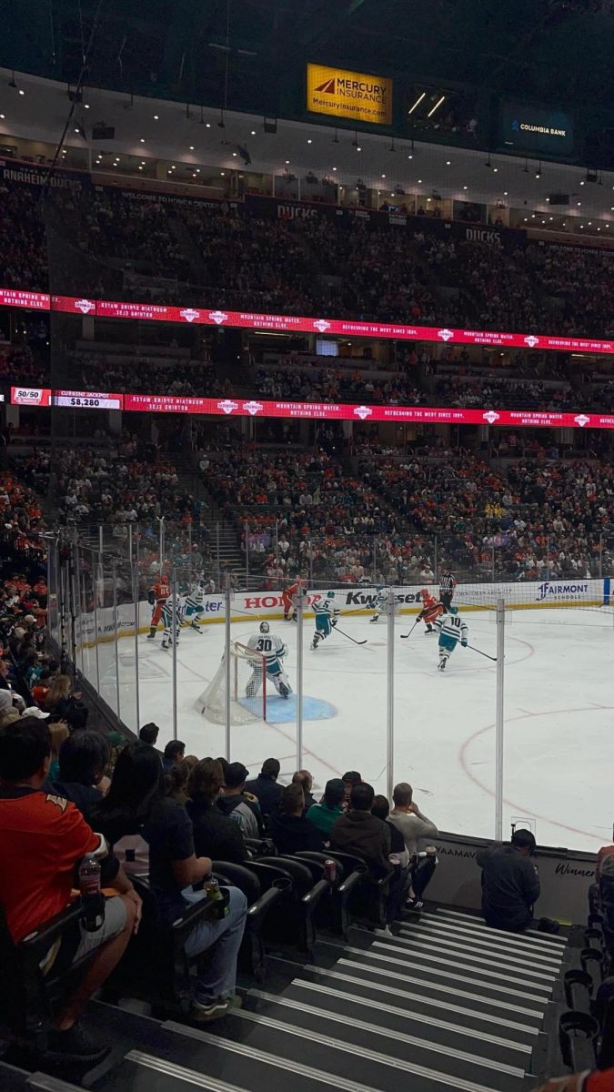 Photo of an Anaheim Ducks game